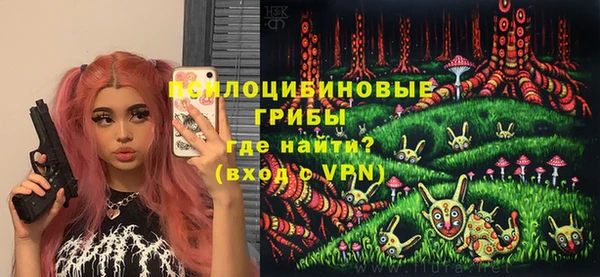 твердый Киренск