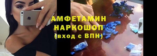 шишки Карпинск