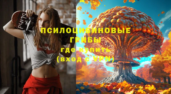 шишки Карпинск