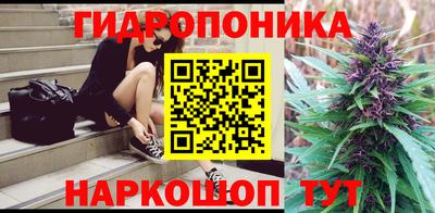 прущие грибы Апшеронск