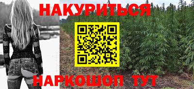 прущие грибы Апшеронск