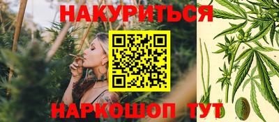 индика Апшеронск