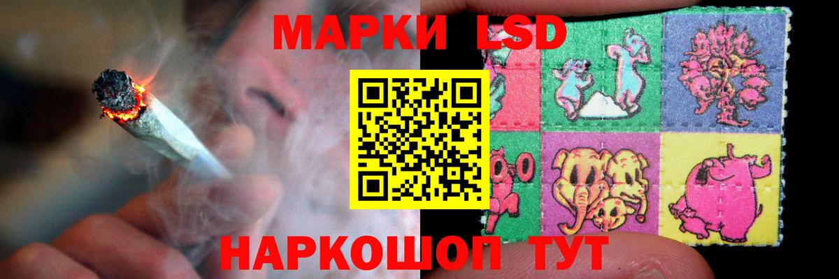 Бердск  Лсд 25 экстази кислота  Вход с VPN  Лсд 25 экстази кислота 