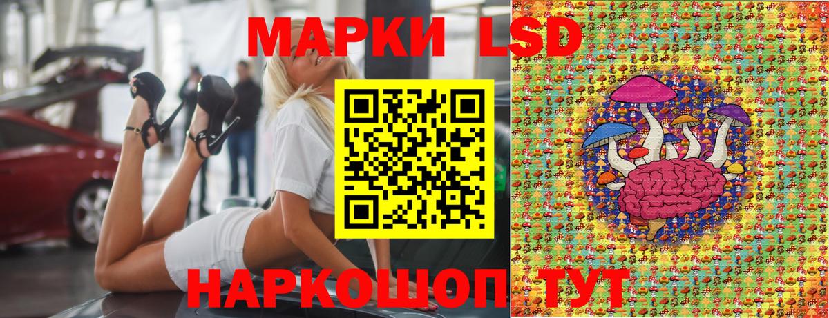 Наркотические марки 1,5мг  Вход с VPN  Бердск 