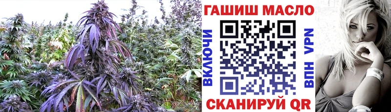 купить закладку  darknet состав  Дистиллят ТГК концентрат  Бердск  ОМГ ОМГ ссылка 