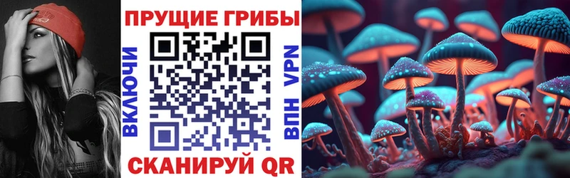 Галлюциногенные грибы Cubensis  где можно купить   Бердск 