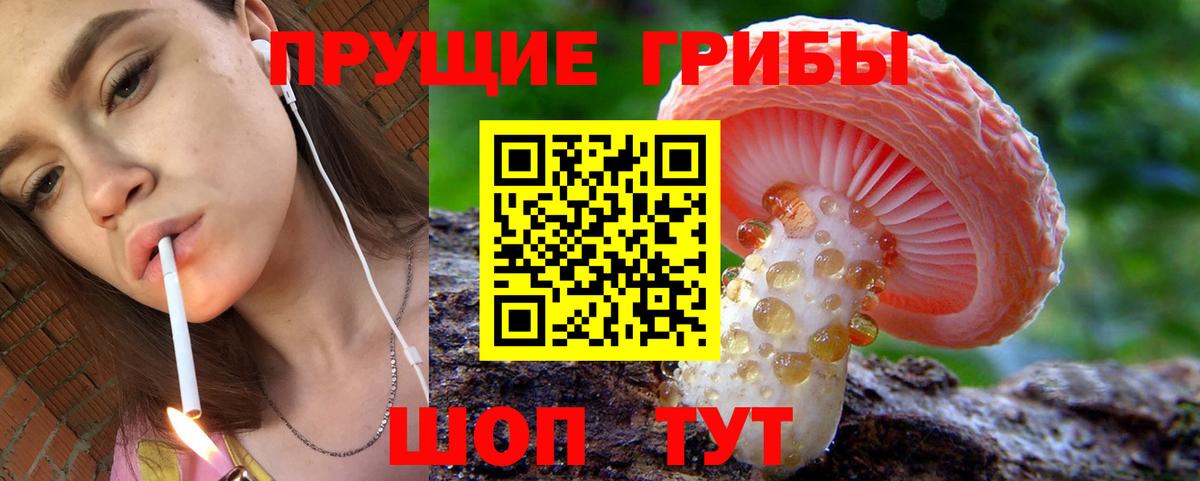 Псилоцибиновые грибы мицелий  Вход с VPN  Бердск 